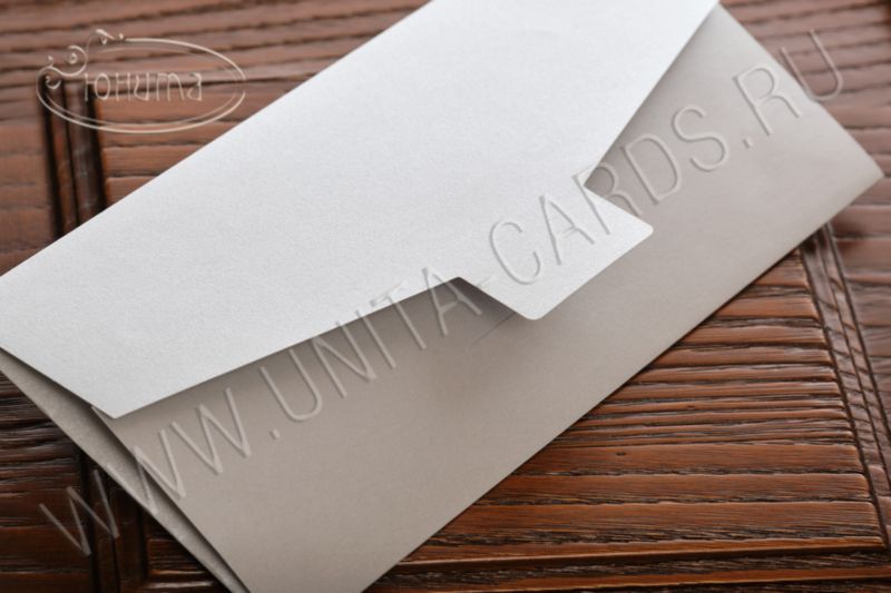 ЕВРО-Конверт из серебряной дизайнерской бумаги 250 гр 03-3053E_maj_s